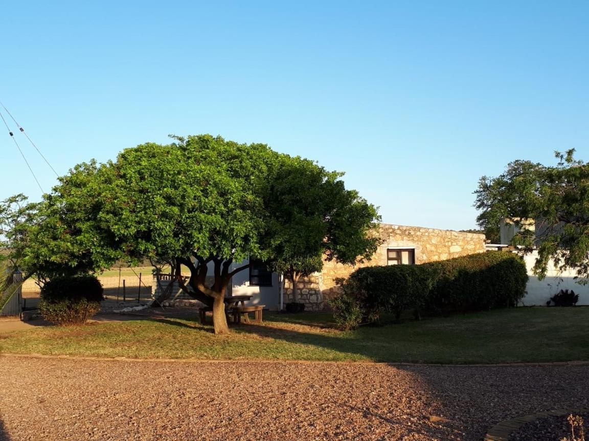 Die Buitekamer Bredasdorp Esterno foto