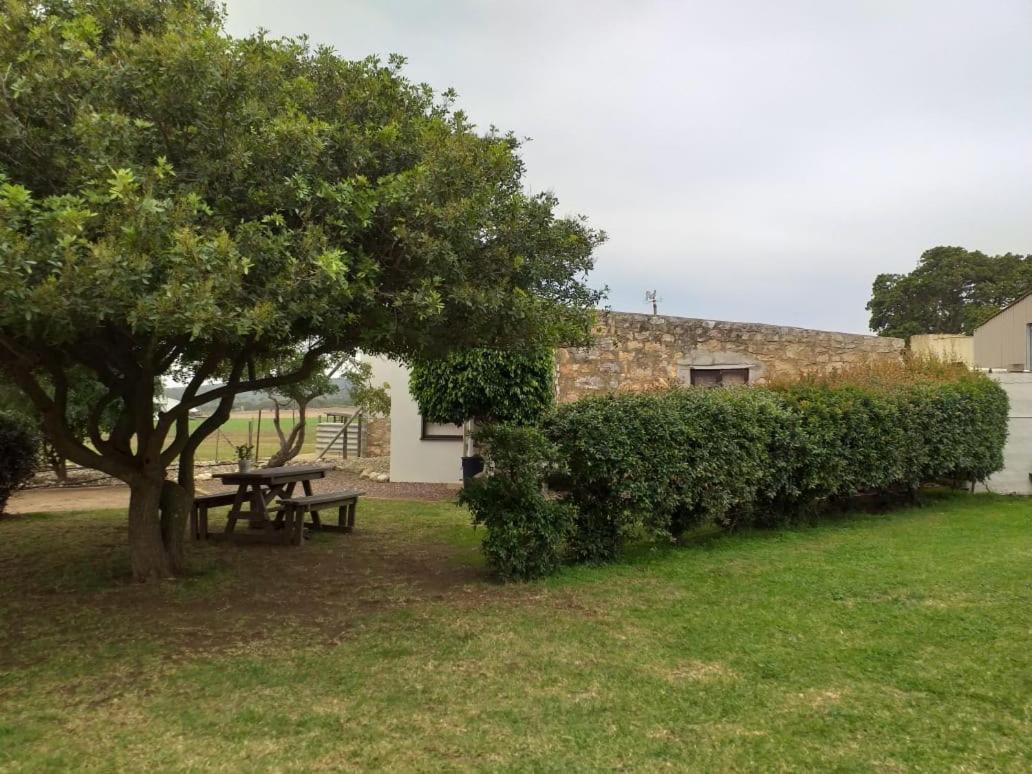 Die Buitekamer Bredasdorp Esterno foto