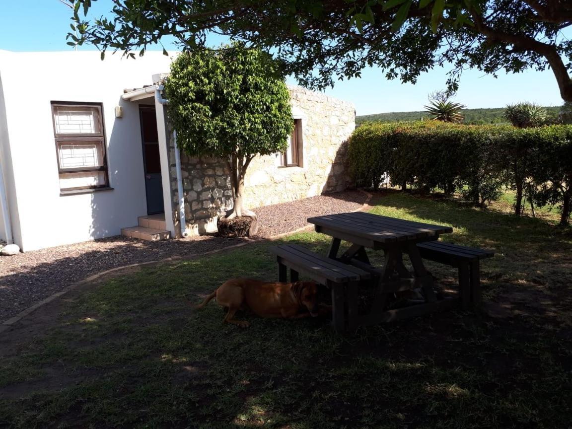 Die Buitekamer Bredasdorp Esterno foto